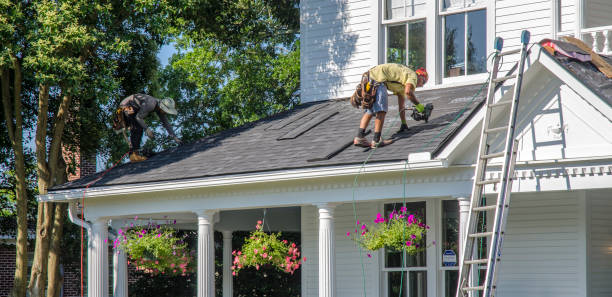 Best Roof Gutter Cleaning  in East Niles, CA