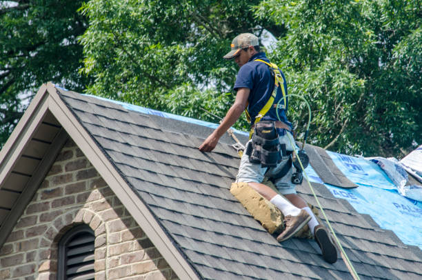 Best Roof Maintenance Services  in East Niles, CA
